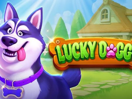 Hướng dẫn tham gia Lucky Doggy slot tại nhà cái Vn88