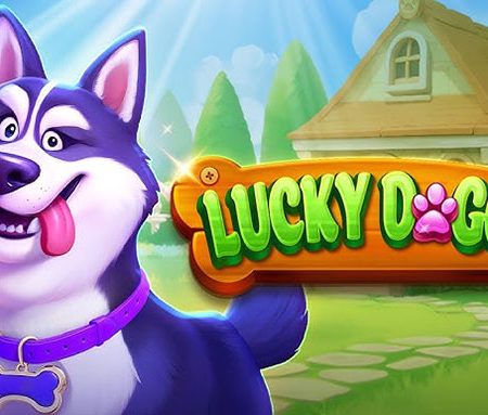 Hướng dẫn tham gia Lucky Doggy slot tại nhà cái Vn88