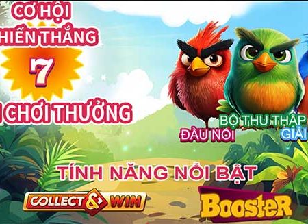 Hướng dẫn chi tiết cách chơi Bountiful Birds slot tại Vn88