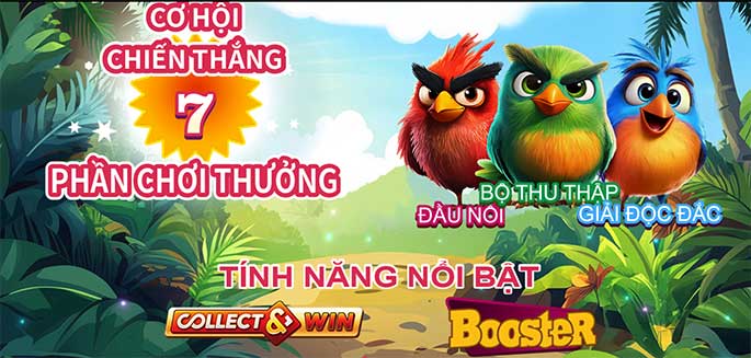 Hướng dẫn chi tiết cách chơi Bountiful Birds slot tại Vn88